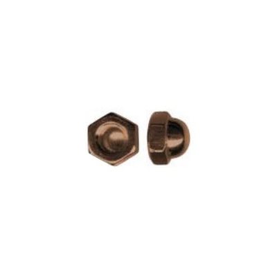 20-2.50 Acorn Nuts Brass