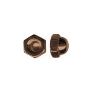 20-2.50 Acorn Nuts Brass