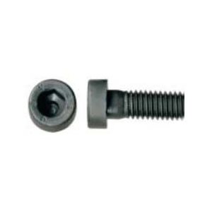 1 / 2-13 Low Head Socket Cap Screw