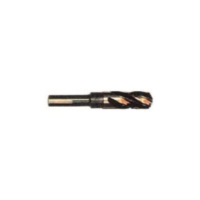 5 / 16-1 / 2 Type 134-AG Mèche Hole Hog