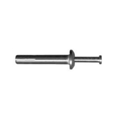 1 / 4 X 1 Cheville avec Clou Acier Inoxydable