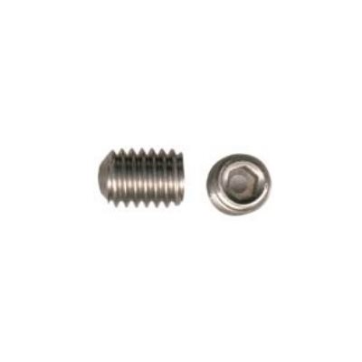 1 / 4-20 X 1 / 4 Socket Set Screw Oval Point Stainless Steel 304
