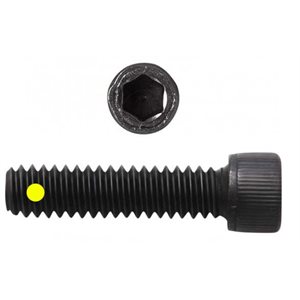 1 / 2-20 Nylon Pellet Socket Head Cap Screws