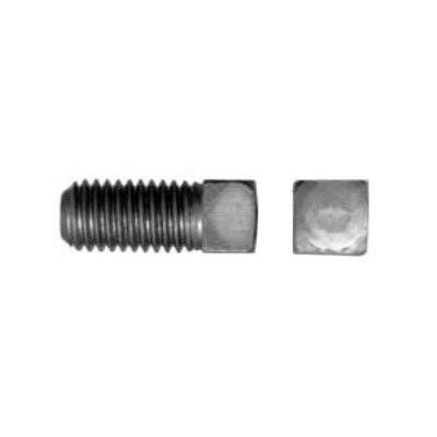 1 / 2-13 X 3 / 4 Square Head Set Screw Cup Point Stainless Steel 304
