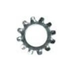 1 / 2 External Tooth Lock Washers