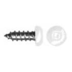 8 X 1-1 / 2 White Truss Head Metal / Wood Screws, Zinc Plated (Bulk)