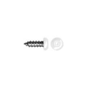 #6 White Pan Head Metal / Wood Screw, Zinc Plated